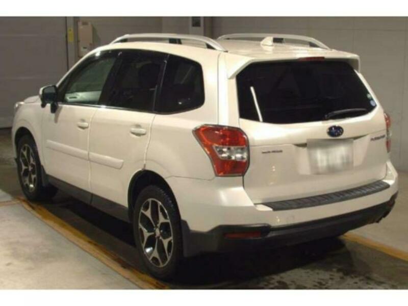 FORESTER-1