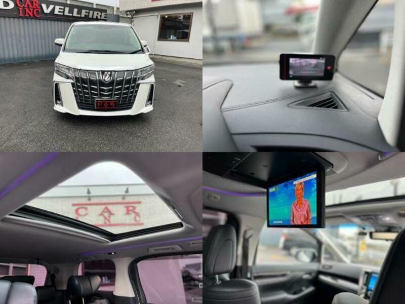 ALPHARD-8