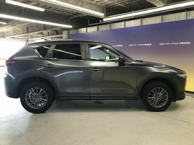 CX-5-6