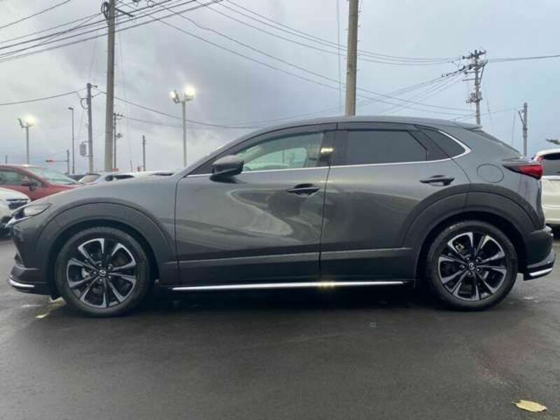 CX-30-3