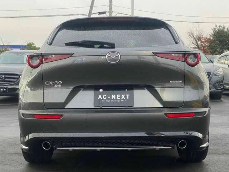 CX-30-4