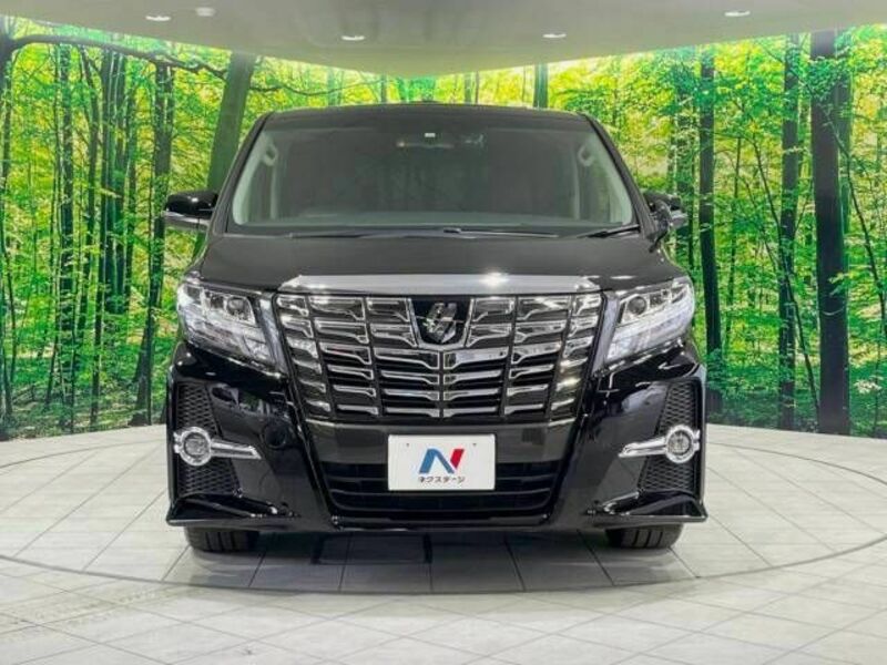 ALPHARD-15