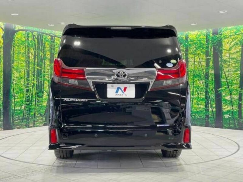 ALPHARD-16