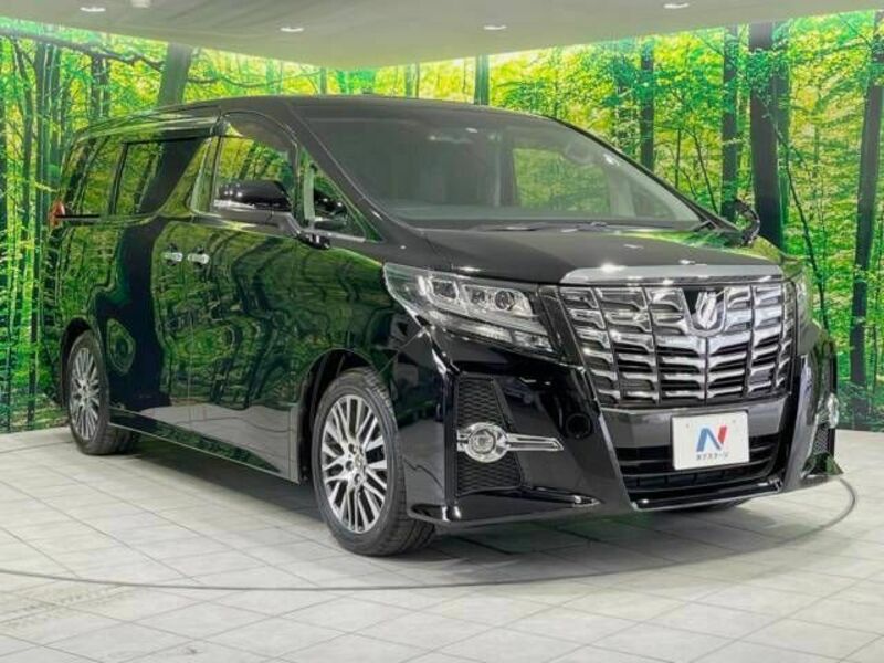 ALPHARD-17