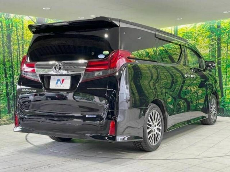 ALPHARD-18