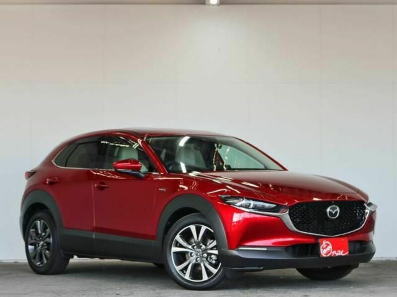 CX-30-1