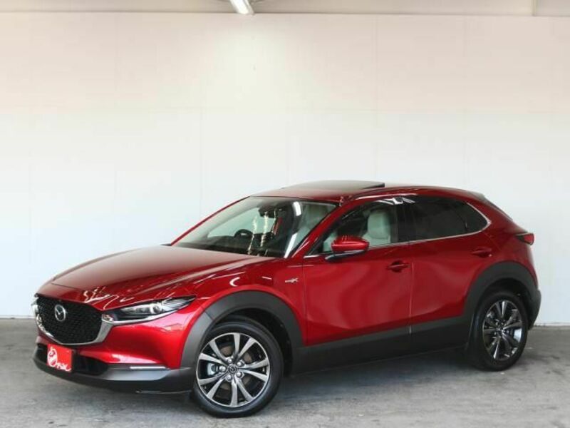 CX-30-2