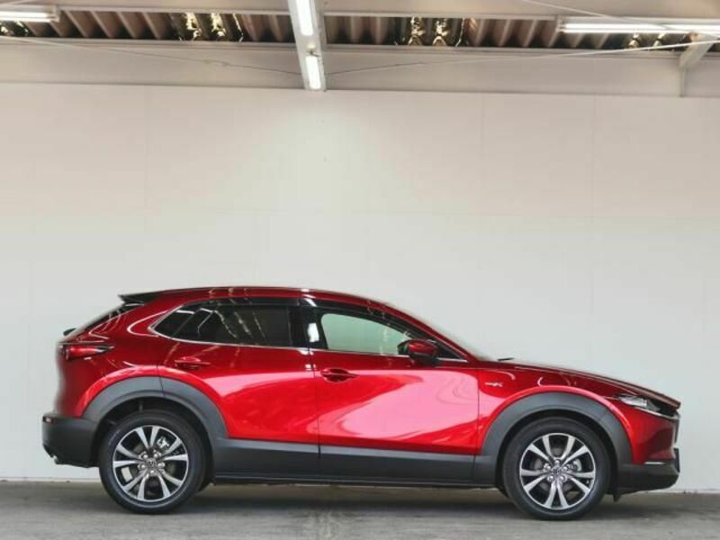 CX-30-4