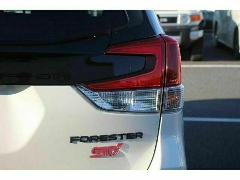 FORESTER-13