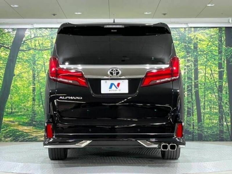 ALPHARD-13