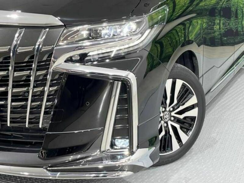 ALPHARD-17