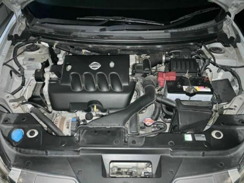 BLUEBIRD SYLPHY-20