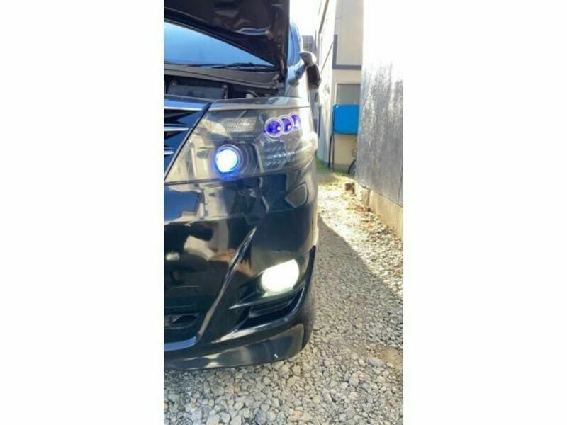 ALPHARD-29