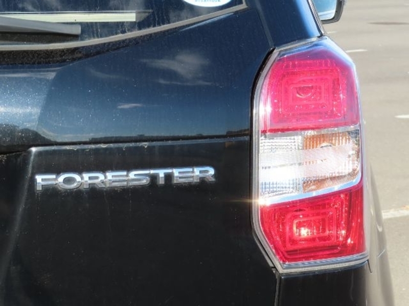 FORESTER