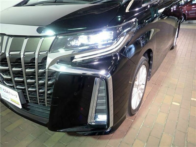 ALPHARD-8