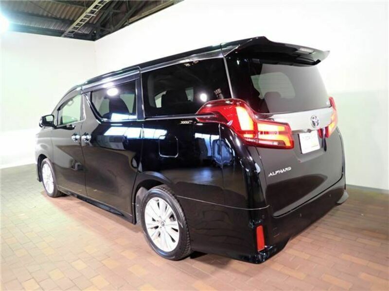 ALPHARD-38