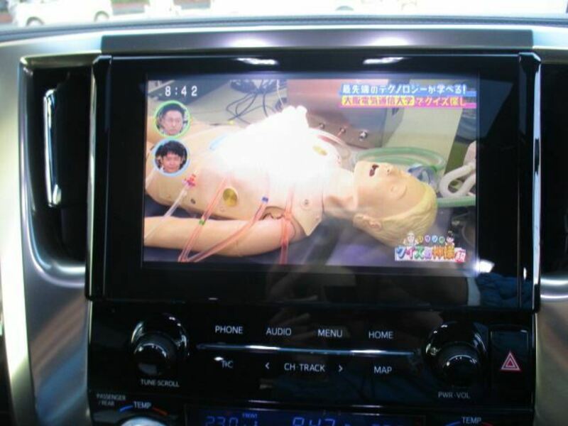 ALPHARD-12