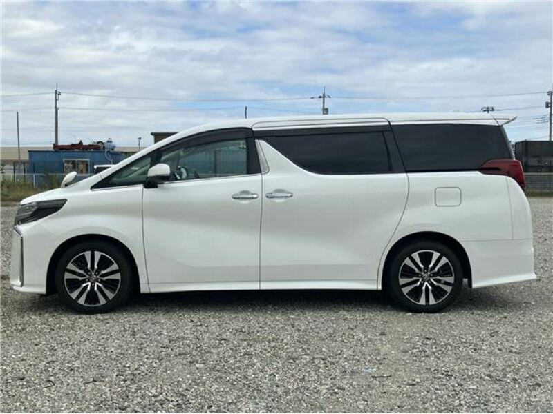 ALPHARD-17