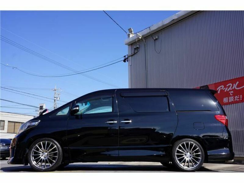 ALPHARD-13