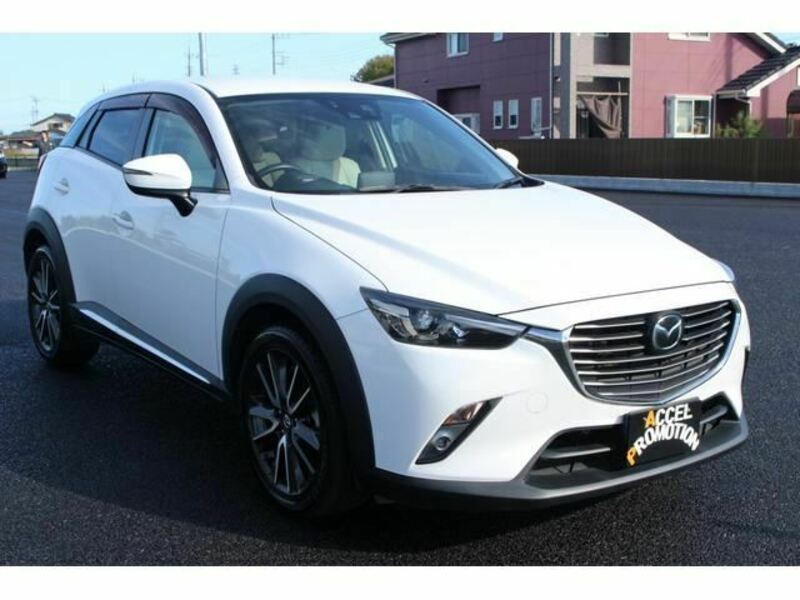 CX-3-8