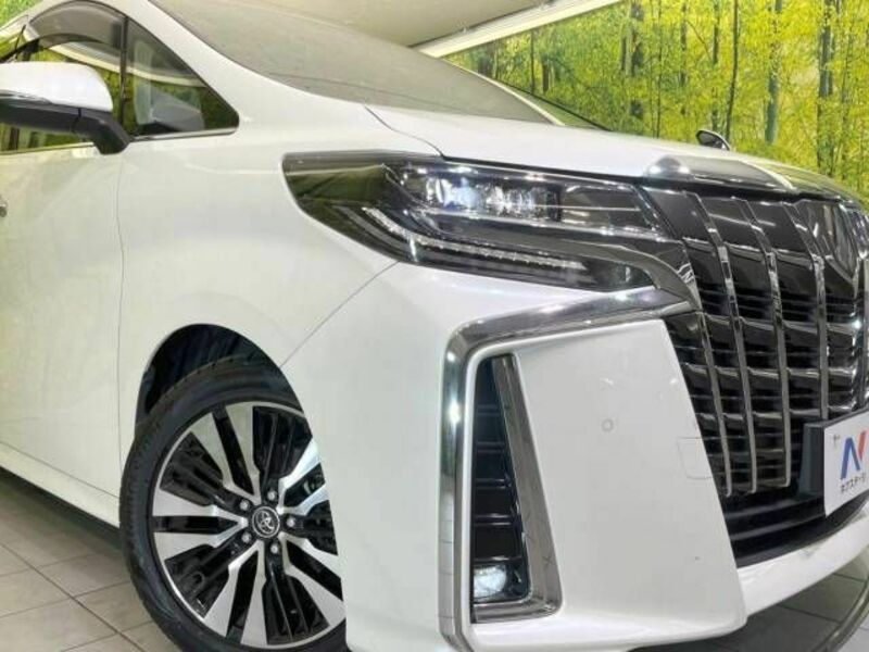 ALPHARD-13