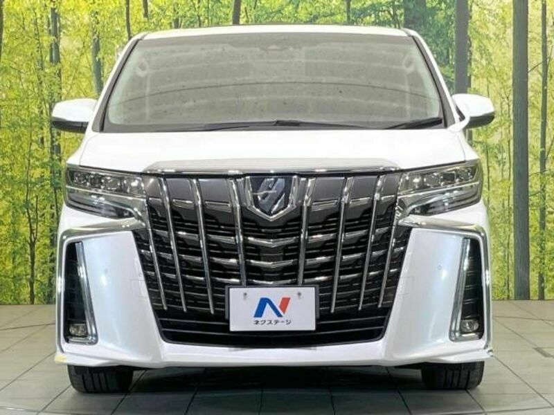 ALPHARD-15