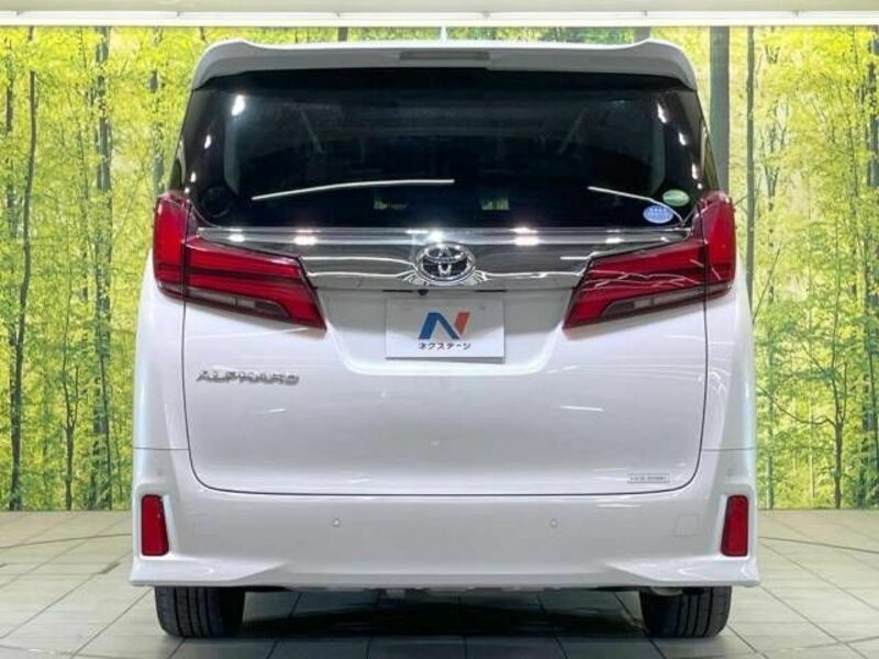 ALPHARD-16