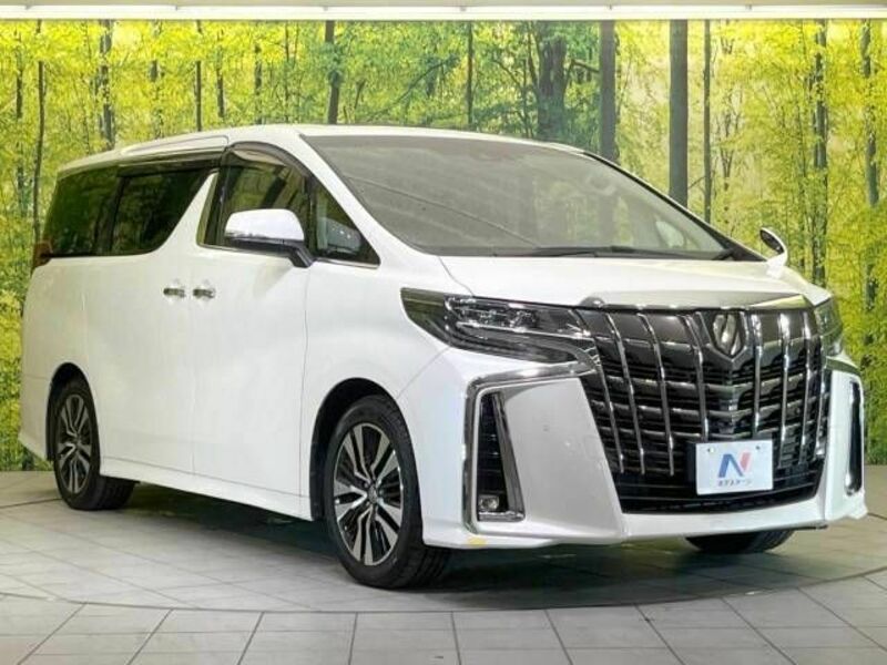 ALPHARD-17