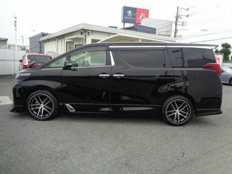 ALPHARD-28