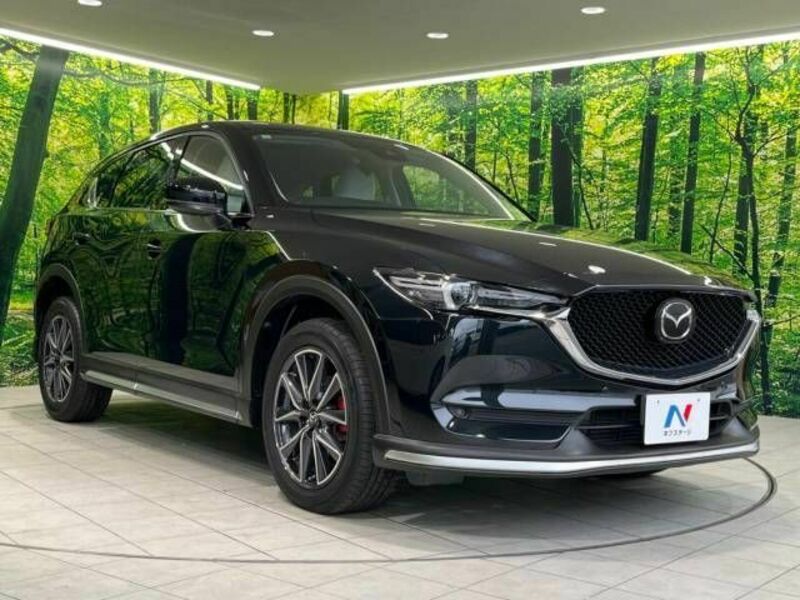 CX-5-16