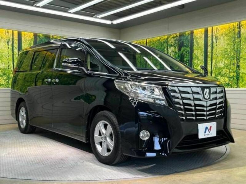 ALPHARD-17