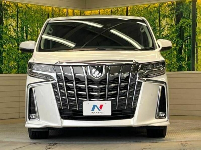 ALPHARD-15