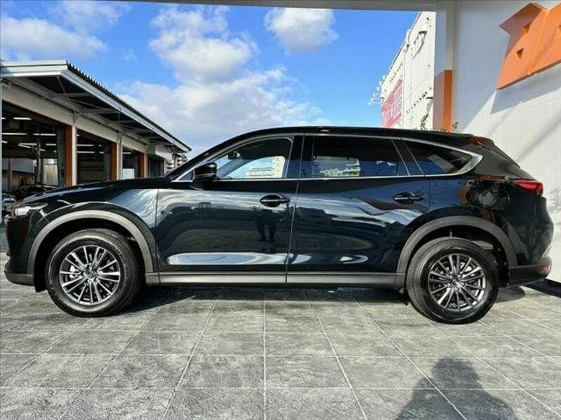 CX-8-10