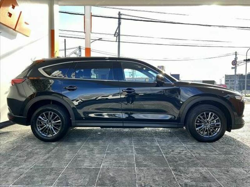 CX-8-11