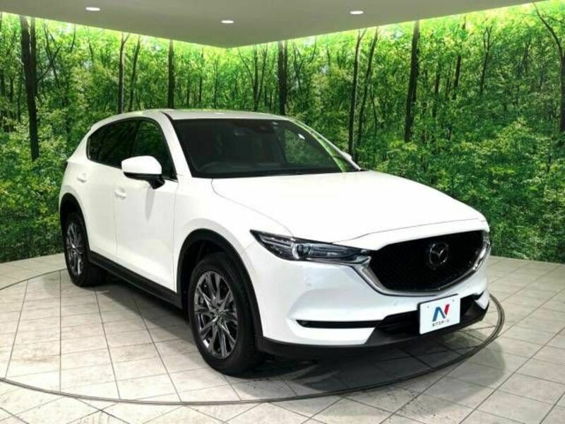 CX-5-17