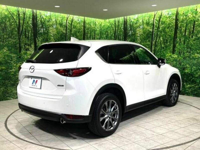 CX-5-18