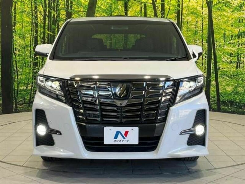 ALPHARD-15