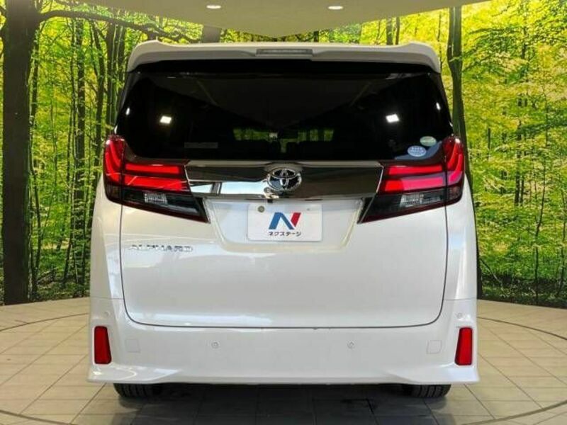 ALPHARD-16