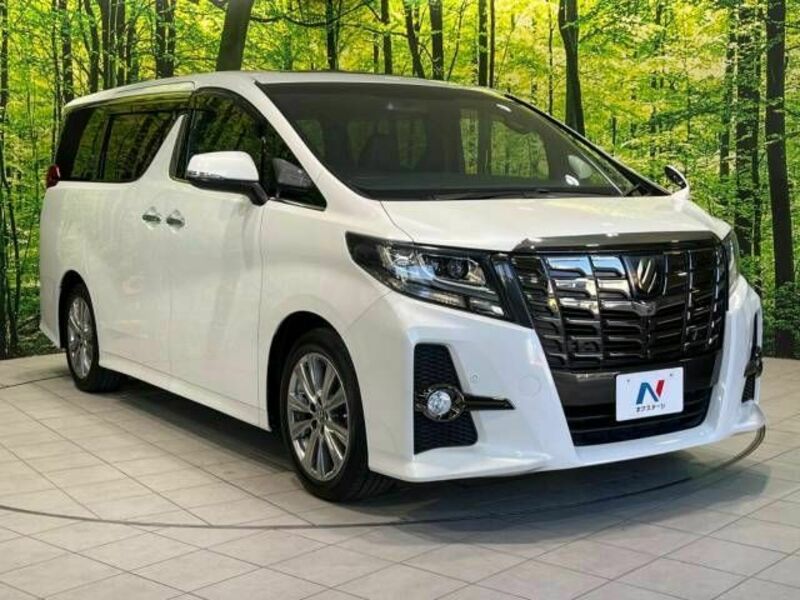 ALPHARD-17