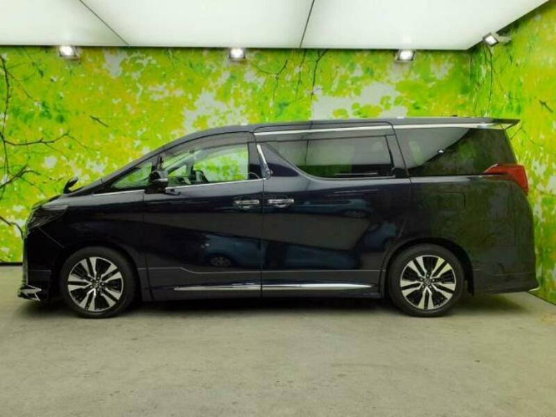 ALPHARD-1