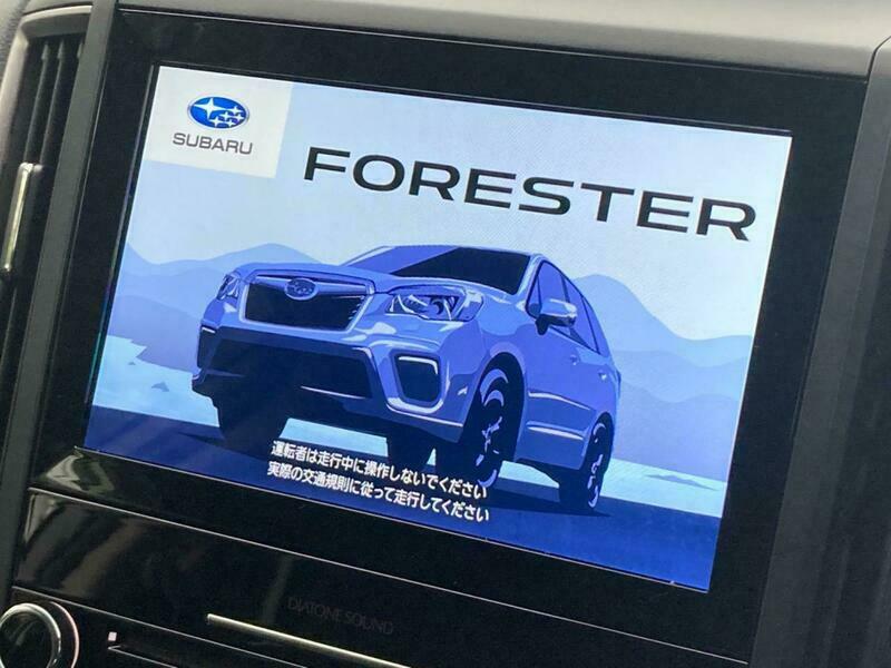 FORESTER