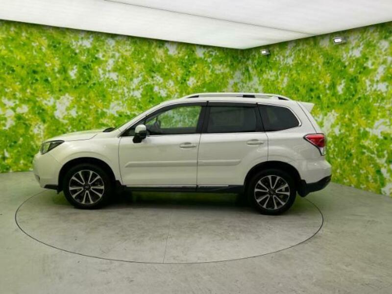 FORESTER-1