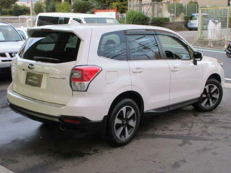 FORESTER-1