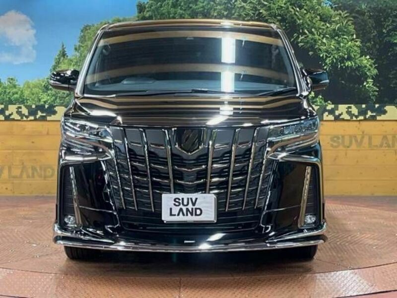 ALPHARD-18