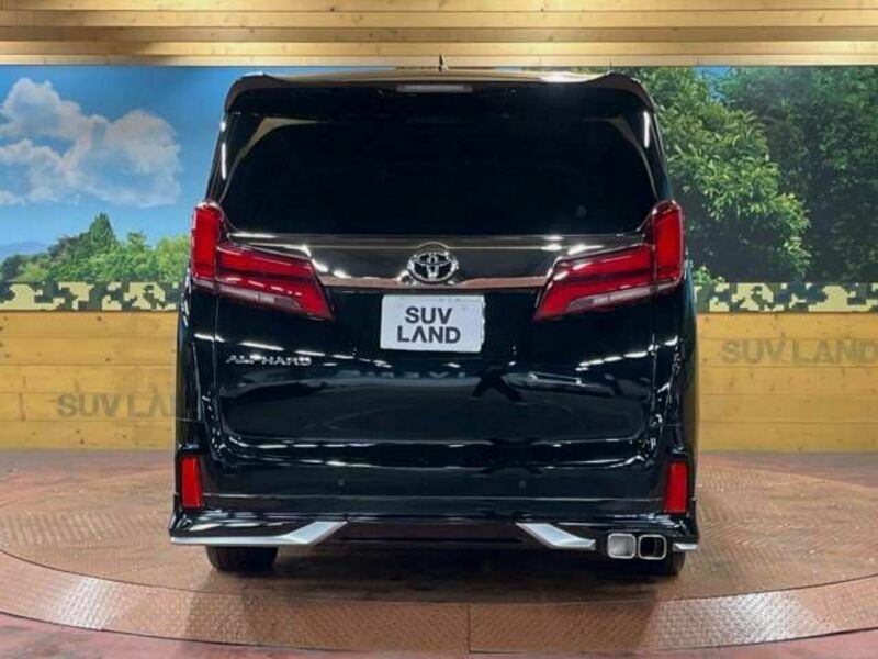 ALPHARD-19