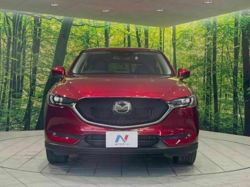 CX-5-14