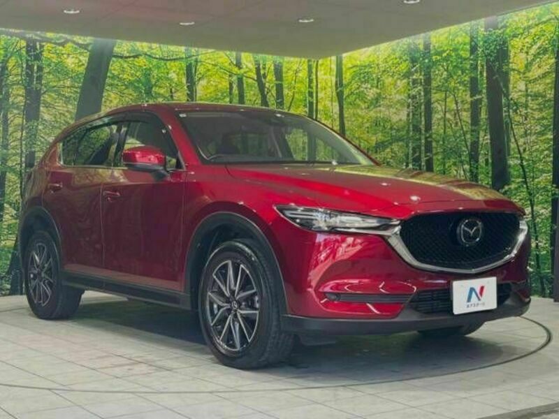 CX-5-16