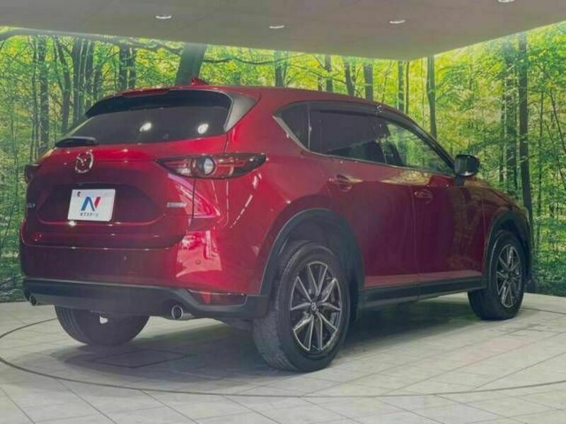 CX-5-17