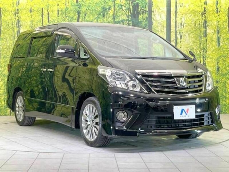 ALPHARD-17