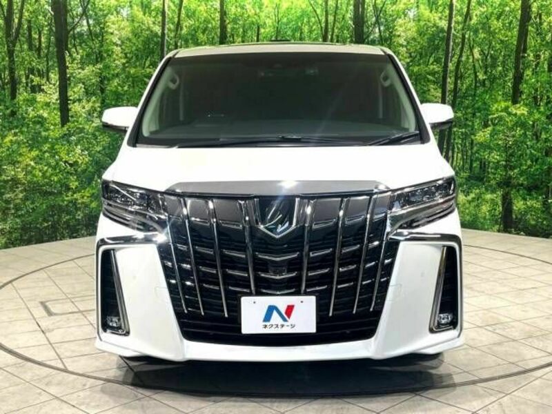 ALPHARD-18